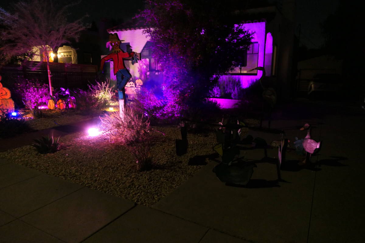 A long shot of the yard from the side nearest some ducks. Everything is bathed in purple light and there's a puff of fog.